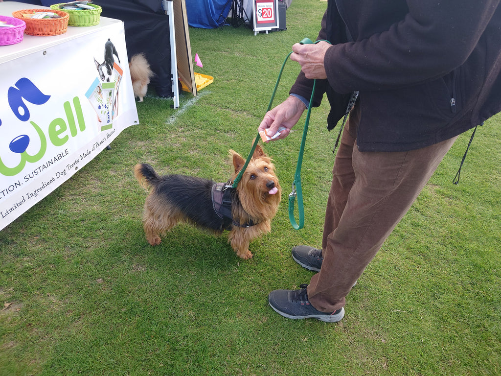 BarkWell Pet at Palm Springs Dog Show 2024, Jan 4-6
