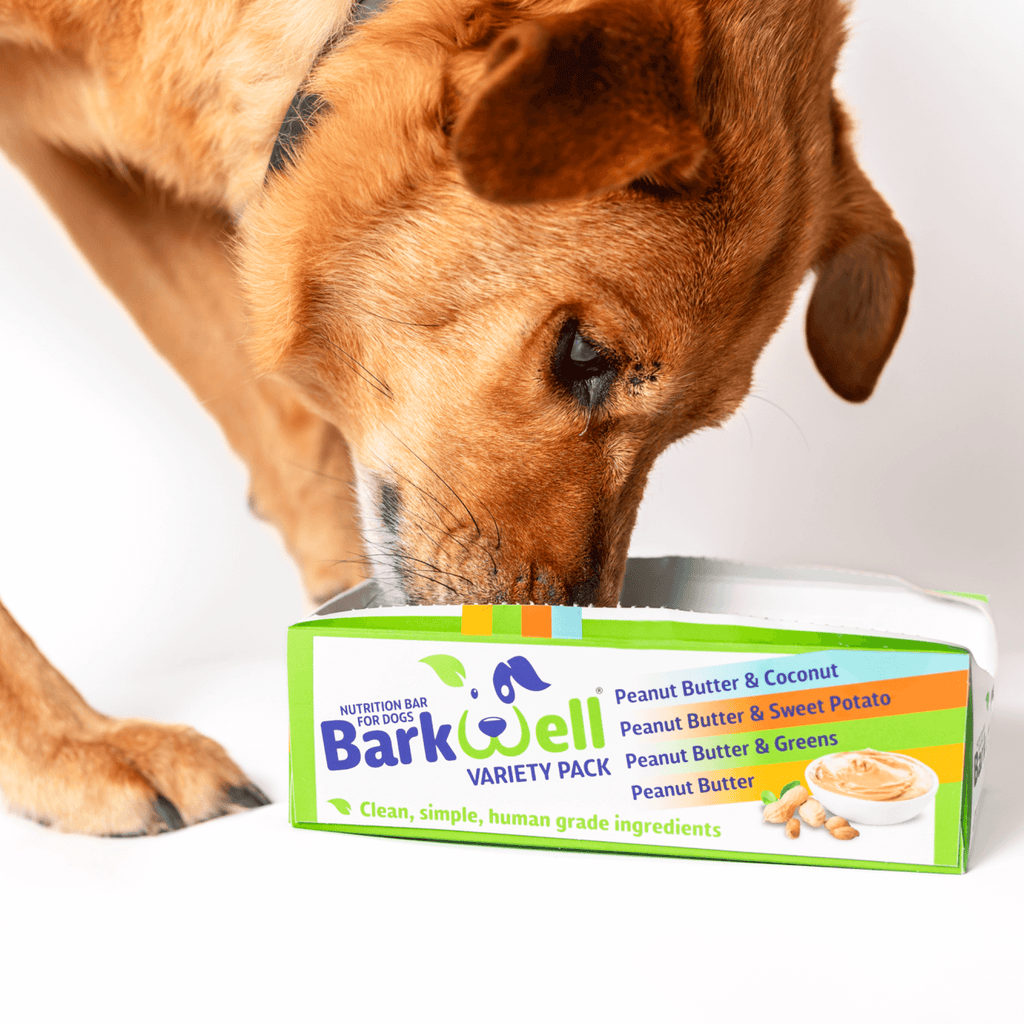 Big brown dog eating from a box of peanut butter and greens natural nutrition bar pack for dogs 